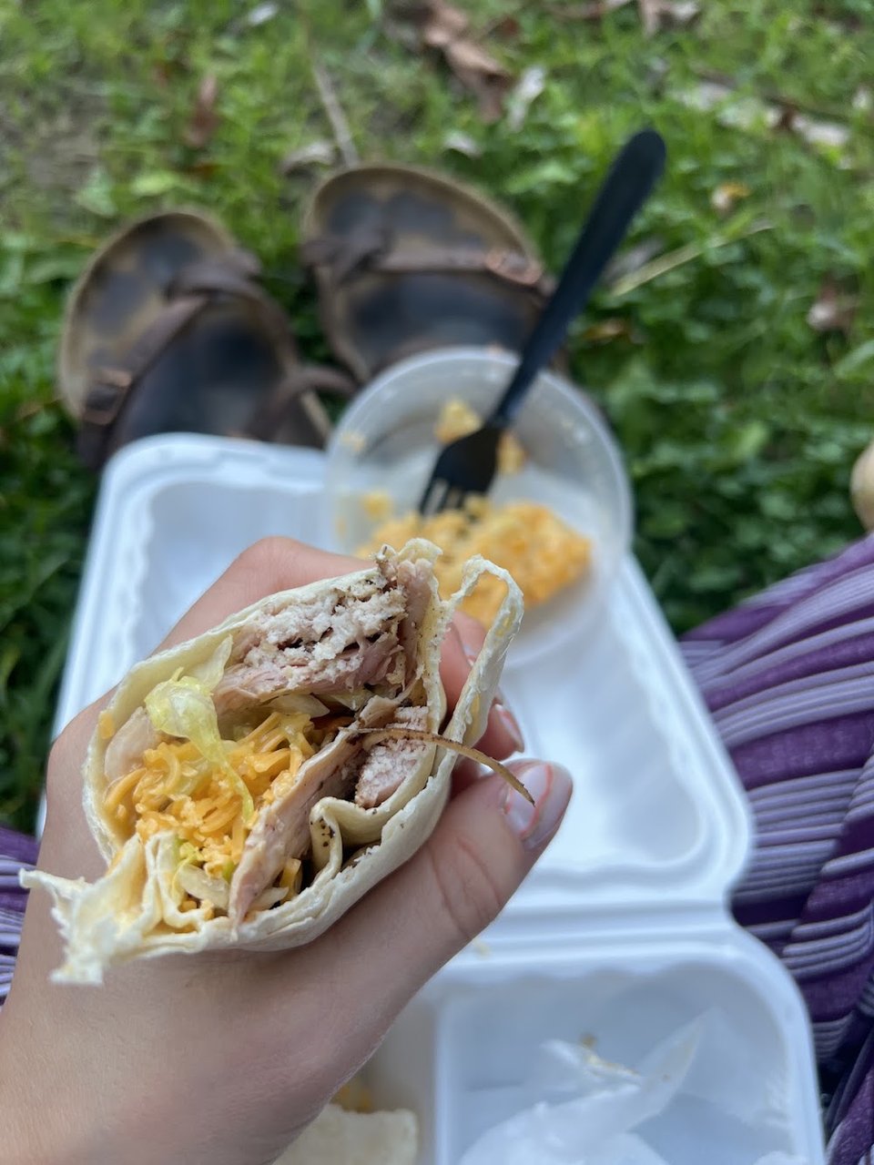 Jerk Chicken Wrap